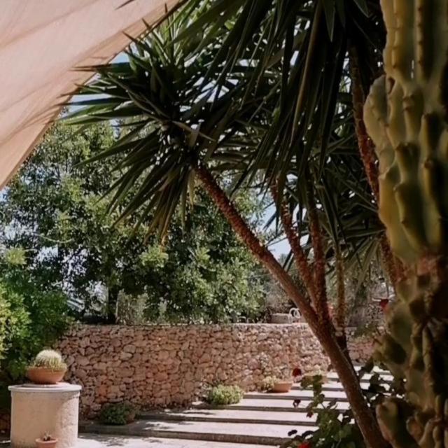 Masseria Agriturismo Il Sorriso Degli Ulivi - Dimora Di Charme Gallipoli Exterior foto
