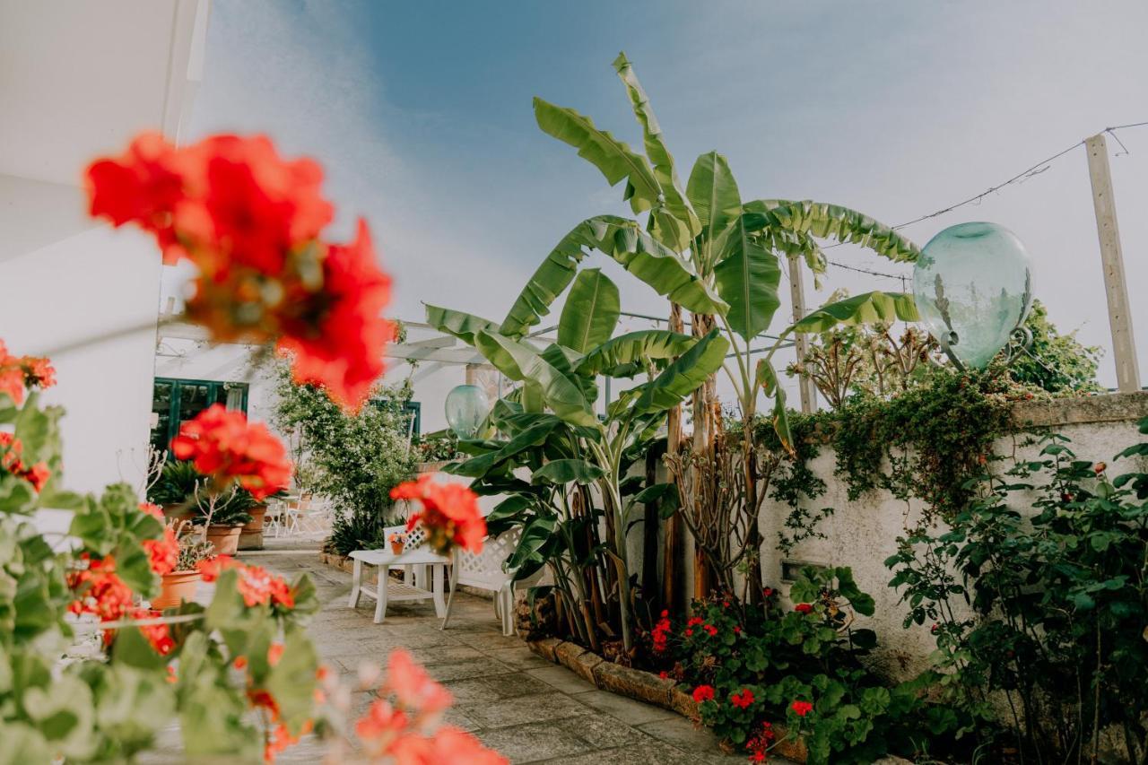 Masseria Agriturismo Il Sorriso Degli Ulivi - Dimora Di Charme Gallipoli Exterior foto